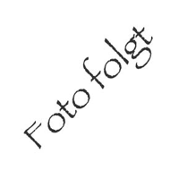 el_img1